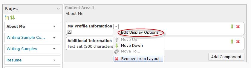 2. Click Edit Display Options. 3. Change the Title or Description of the item, if desired. Note: This will only change the title or description within the presentation. 4.