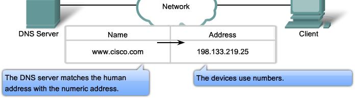While other services use a client that is an application (such as web browser, e-mail client), the DNS client runs as a service itself The DNS