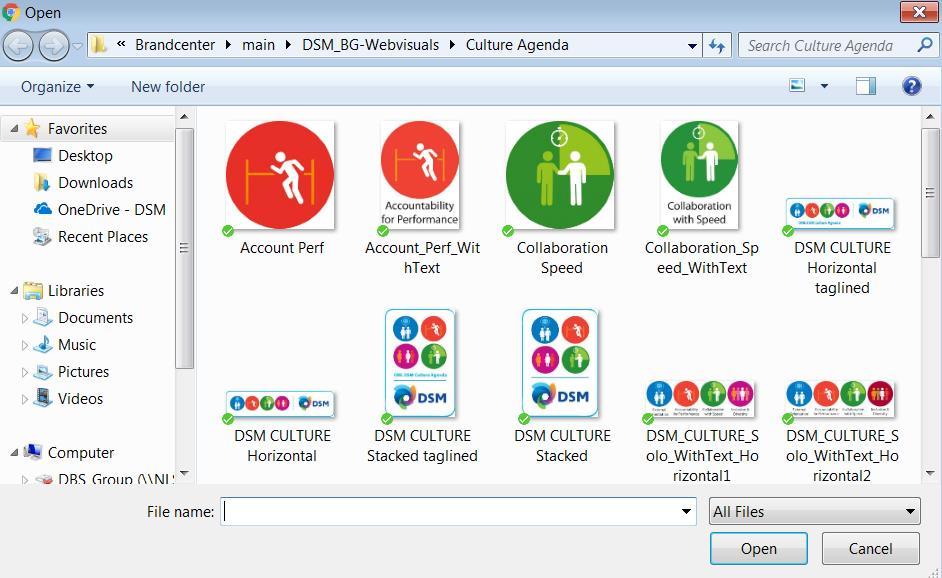 4. Upload section Both authorized DSM employees and external parties can upload images into the DSM Brand Center.