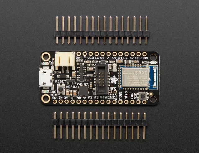 This is a special Feather - unlike the rest of the Feather family, this board is not for use with Arduino IDE. Instead, it is for use with Mynewt only!