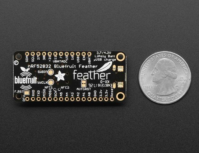 The Adafruit Feather nrf52 Pro ships pre-programmed with the Mynewt serial bootloader that allows you to flash firmware to the device directly from the command-line using the on-board USB Serial