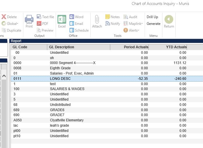 If the user would like to see the data at the next level down (Object) they can double click any row in the report that
