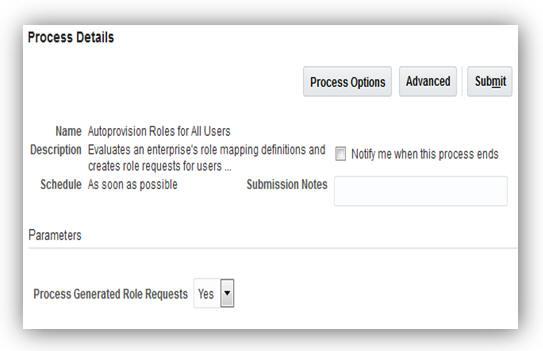 ENHANCED AUTOPROVISION ROLES FOR ALL USERS PROCESS A new parameter, Process Generated Role Requests, is added to the Autoprovision Roles for All Users process.