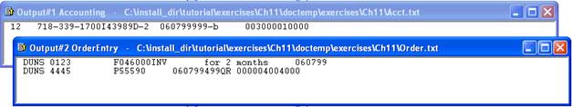 and Orders.txt. ActivityReport Executable Map The executable map ActivityReport uses the same input file and generates the Report.