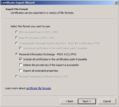 4. Select both the Personal Information Exchange PKCS