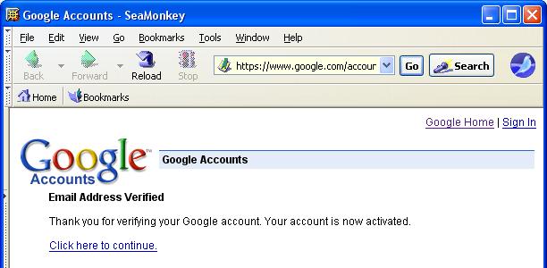 ACCOUNT VERIFICATION AND ACTIVATION Check your email for Google