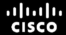 REVENUE AWARD WINNING CISCO PARTNERSHIP 2001 $1.8B $1.6B $1.4B $1.2B $1 BILLION $800M $600M $400M $200M 2010 CORPORATE Cisco s Largest US Partner ($1.