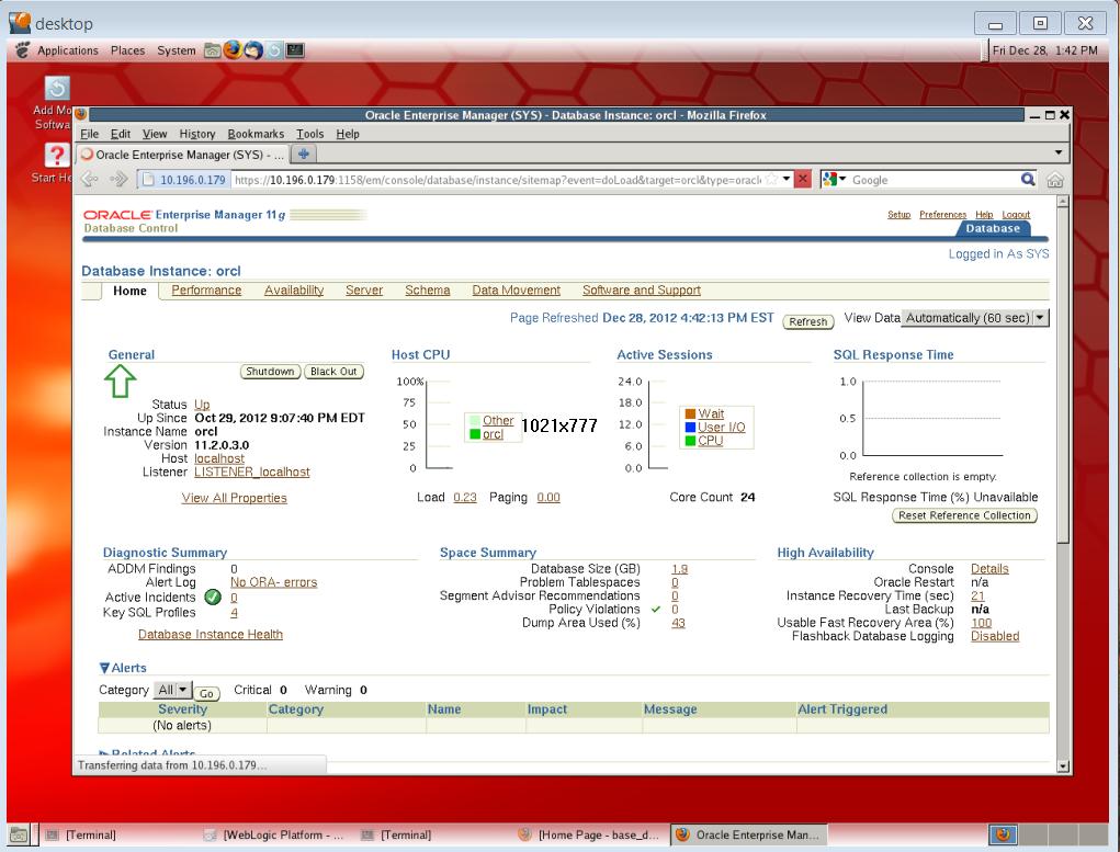Oracle Database 11gR2