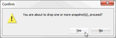 Dropping snapshots Figure 11 6 Selecting snapshots that you want to drop A Confirm dialog displays asking you if you want to proceed with dropping the selected snapshots. 4. Click Yes.