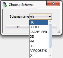 Loading data from Oracle database tables Figure 5 7 Add an Oracle database schema The Choose Schema dialog displays.