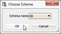 Figure 5 8 Choose an Oracle database schema You are now ready to add the Oracle database schema. 3. Click Ok.
