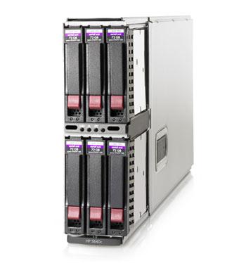 Storage blades offer storage to adjacent server blades in the same enclosure and appear to the server blade as directly attached local storage.