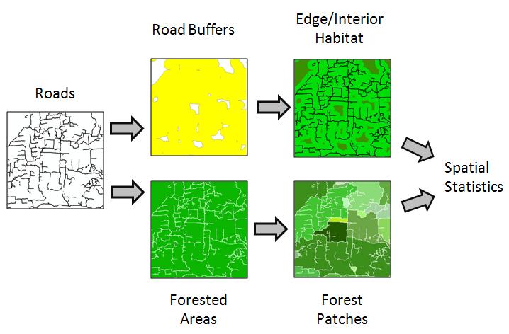 Part II: Create Habitat Quality and Forest Patch Datasets In Part II, we will use the roads dataset to create raster data layers of habitat quality and forest patches.