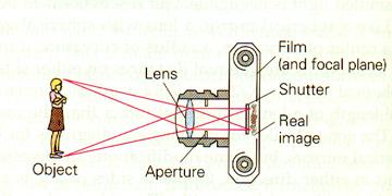 Cameras Cameras work very much like the eye Light from the environment is bent by the lens array to make an