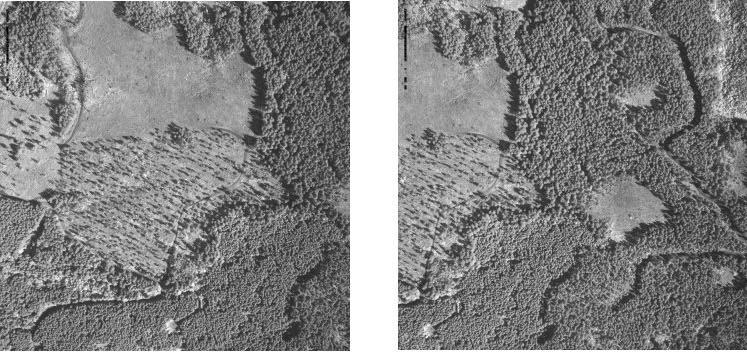 Digital Imagery: Procuring digital imagery in concert with LIDAR collection maximizes the opportunity to collect ancillary data at a very low cost taking advantage of the platform s expense already