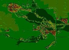 Riparian Vegetation Mapping: Riparian habitat is a key component of stream habitat for fish.
