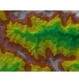 LIDAR data for a forested site.