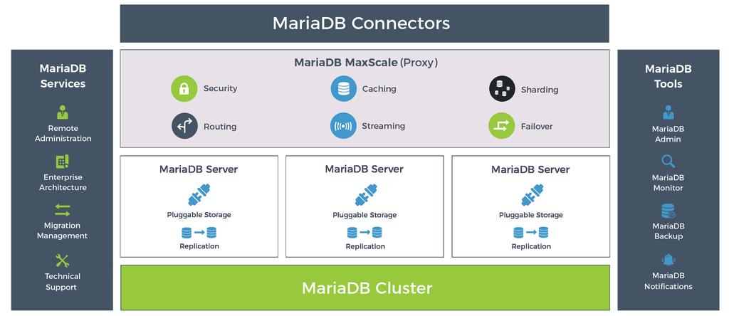 MariaDB TX Born of the community. Raised in the enterprise.