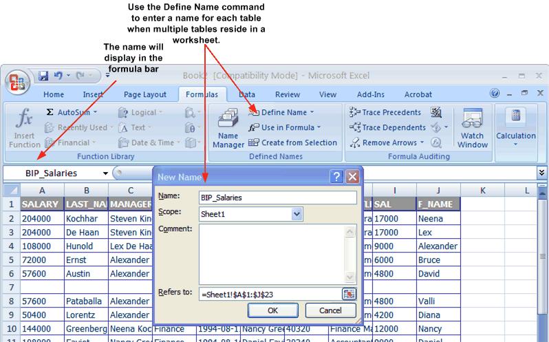 Creating a Data Set Using a Microsoft Excel File Figure 2 13 Using the Define Name Command in MIcrosoft Excel 2.7.