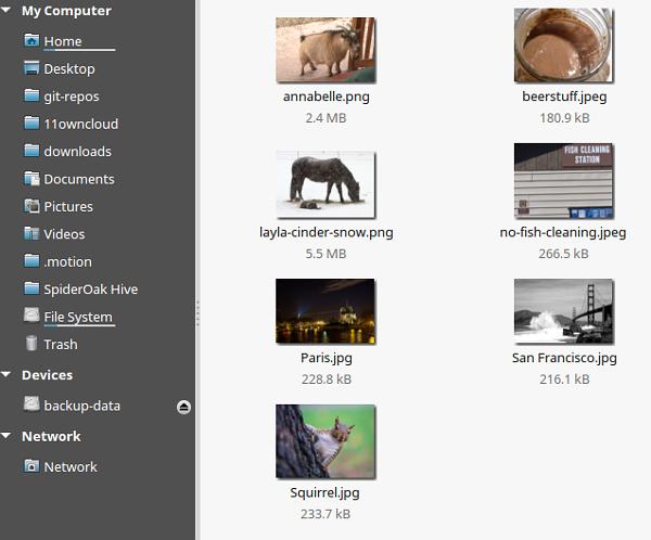 This screenshot shows a set of photos in the skeleton directory.