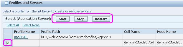 Manage a WebSphere Application Server (WAS) Instance 13.2.