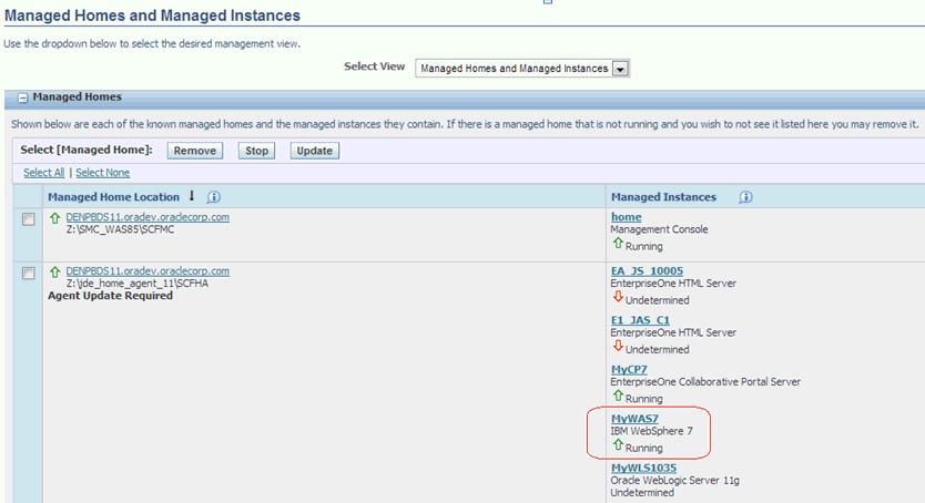 Manage a WebSphere Application Server (WAS) Instance Lists all applications servers associated with each profile. The status of the application servers is also shown.
