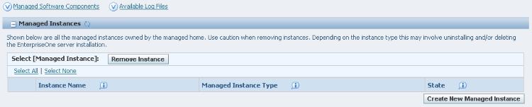 14 4Register 1 a JD Edwards Deployment Server as a New Managed Instance This chapter discusses registering an existing deployment server as a New Managed Instance. 14.