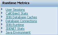 EnterpriseOne Web-based Servers Runtime Metrics JDBj Database Caches Database Connections JDBj Runtime JDENET Stats Java Environment 28
