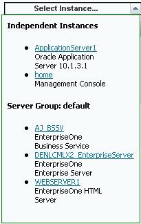 User Interface Layout When you click the Select Instance... dropdown, the Management Console displays a list of currently available instances registered with this Management Console.