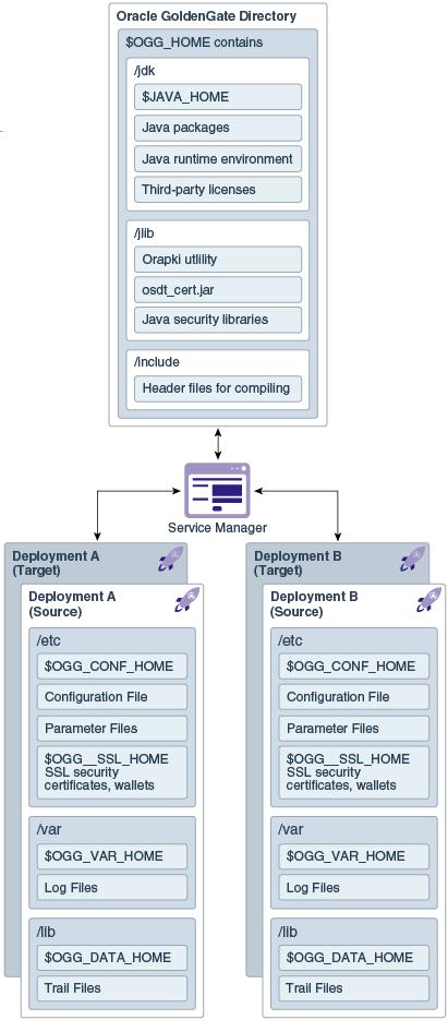 Components of Oracle GoldenGate
