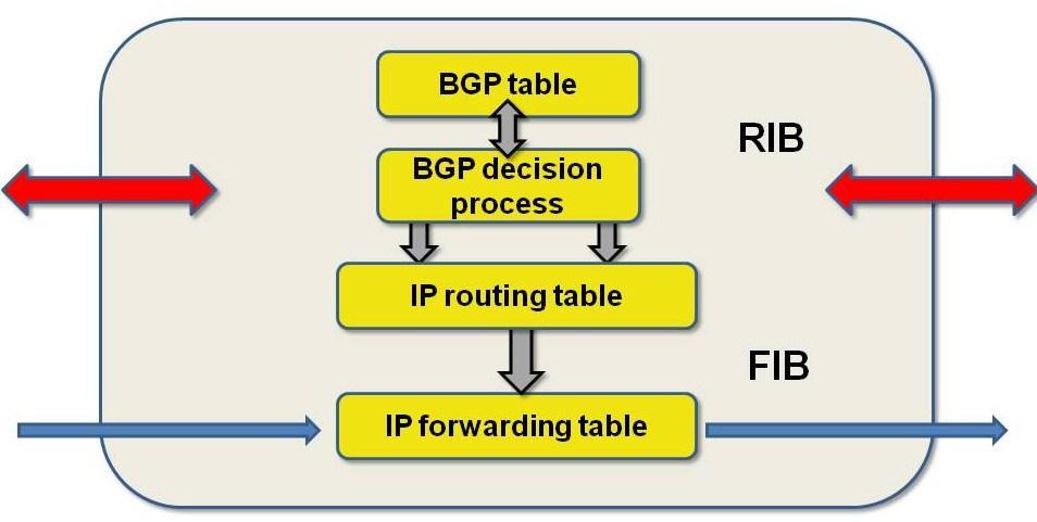 2 INTRODUCTION Figure 1.1: Relationship between RIB and FIB To keep the memory small on routers special techniques were required that could reduce redundant routes.