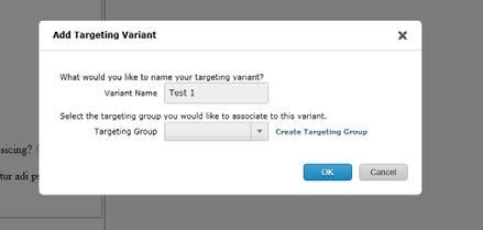 Setting up a Targeting Variant Click the Add Targeting Variant button from the input control and enter variant name.
