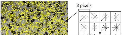 28 Accurate Measurements of Hgh Stran Gradents near Notches Usng a Feature-Based DIC Algorthm undeformed-deformed par of mages, a meshless formulaton based on the Movng Least Squares approxmaton [19]