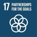 SDGs ASEAN New financing mechanisms for digital connectivity projects Ensure significant mobilization of resources for developing countries in particular LDCs; SAARC Digital Connectivity Projects,