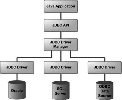 25.3 Common JDBC Components The JDBC API provides the following interfaces and classes: DriverManager: This class manages a list of database drivers.