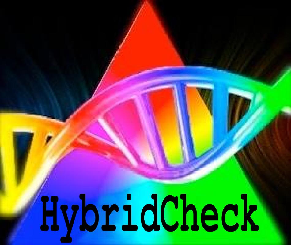 HybridCheck User Manual Ben J.