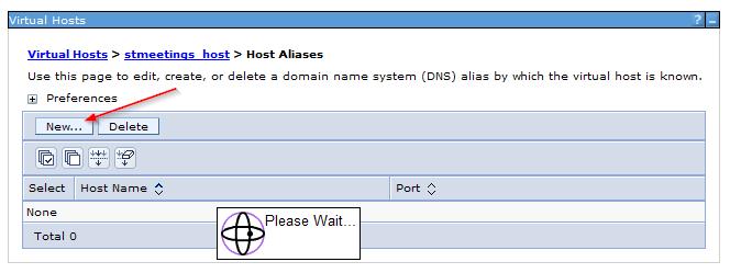 Virtual Hosts and Ports