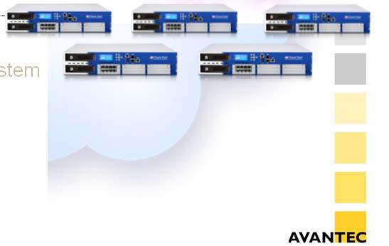 Access* Software Blades on Virtual Systems and Open Servers