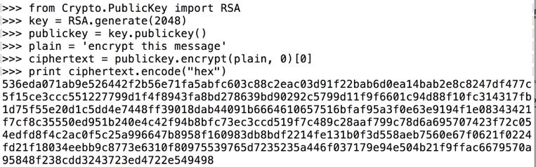 RSA Encryption in Python