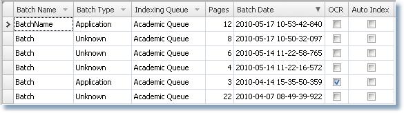Page Count is the number of pages that are in the batch record. OCR State, if checked, indicates an attempt will be made to OCR the batch after it is saved to the server.