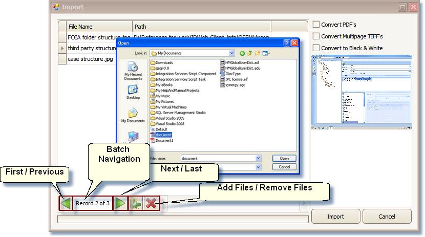 Batch Scanning Im port Dialog Window 6. Click Add Files to open a Windows dialog to select where the files to import are located. To remove a file from the list, click on the Remove Files button. 7.