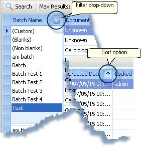Batch Indexing Only that user is able to index the batch while it is locked. The Search button executes a new search on the database.