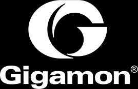More detailed information will be available in the Gigamon Service Solution User Guide that will be published in
