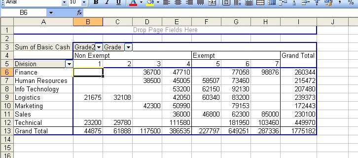 To collapse the categories, double click on the word Non Exempt, and on the word Exempt or in Excel 2007,