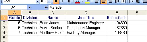A new spreadsheet will be created showing the source data (in this case employees) in this category see below.