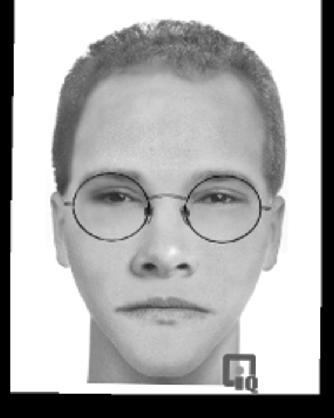 looking at a person or photograph. During the drawing of a forensic sketch, the witness usually cannot exactly recall the facial appearance of a suspect.