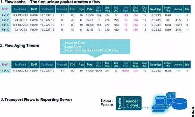 What NetFlow Data Looks Like Configuring NetFlow What NetFlow Data Looks Like The following figure shows an example of NetFlow data.
