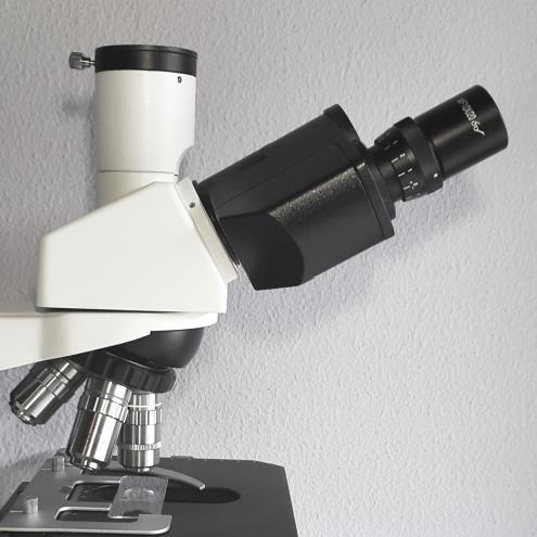 Objectives A very important element determining the quality of a microscope system is the quality of objectives used. The NGS range of microscope systems feature high-end plan achromatic objectives.