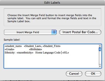 Options: Press space bar on your keyboard Type in a word such as Re: Click on Insert Merge Field again to add the next data field to your label.