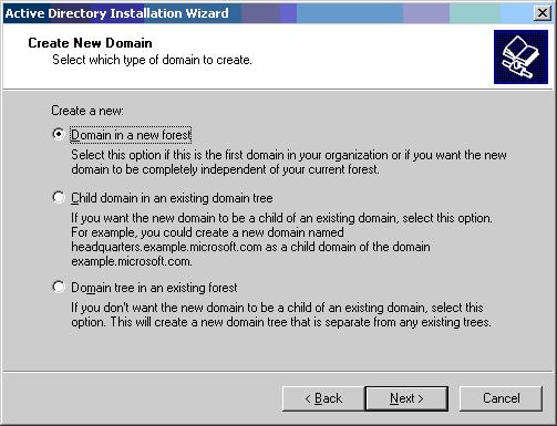 If DNS is not installed on the system, the wizard provides you options with